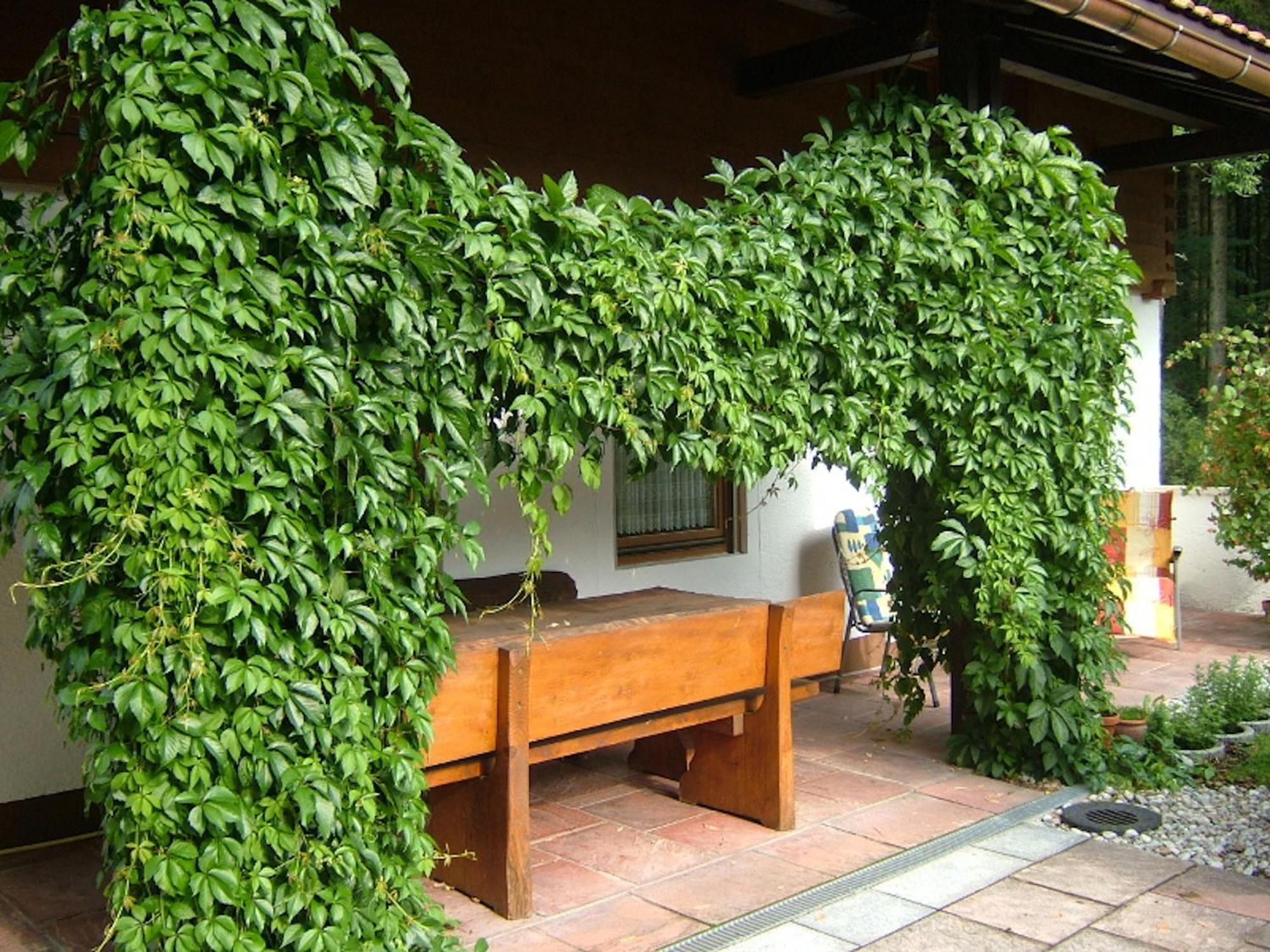 Haus Mayerbuechler - Chiemgau Karte Inzell Extérieur photo